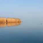 Rita شيوفوك