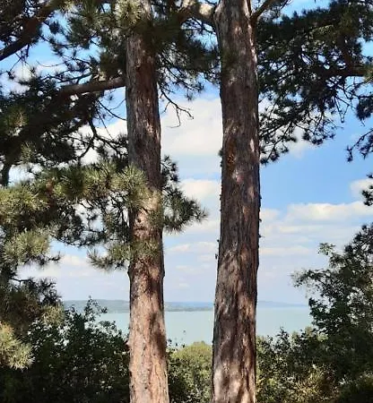 Rita Apartamento Siófok